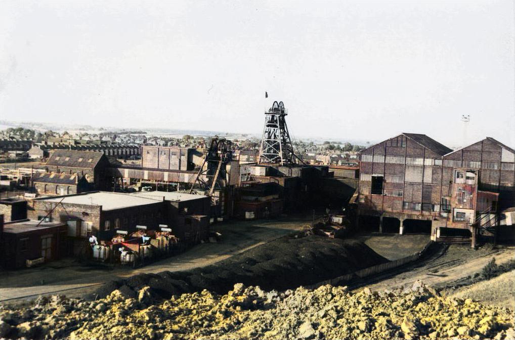 suttoncoll21989a